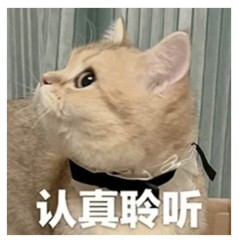 屏幕截图 2025-05-12 164853
