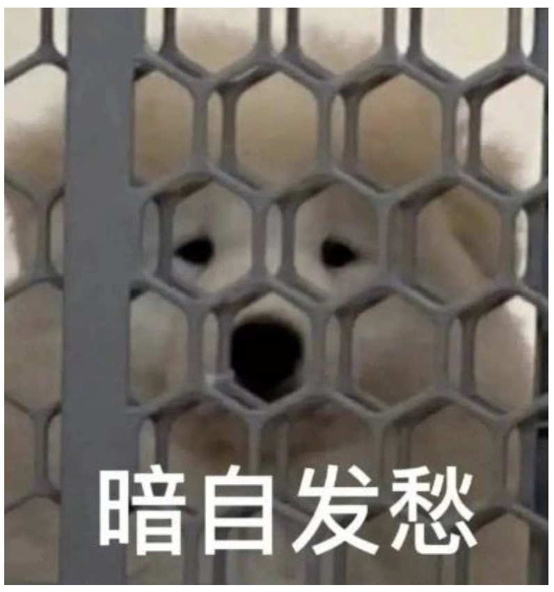 屏幕截图 2025-05-12 164658