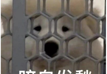 高龄孕妇更容易生“唐宝宝”吗？生娃前必看！